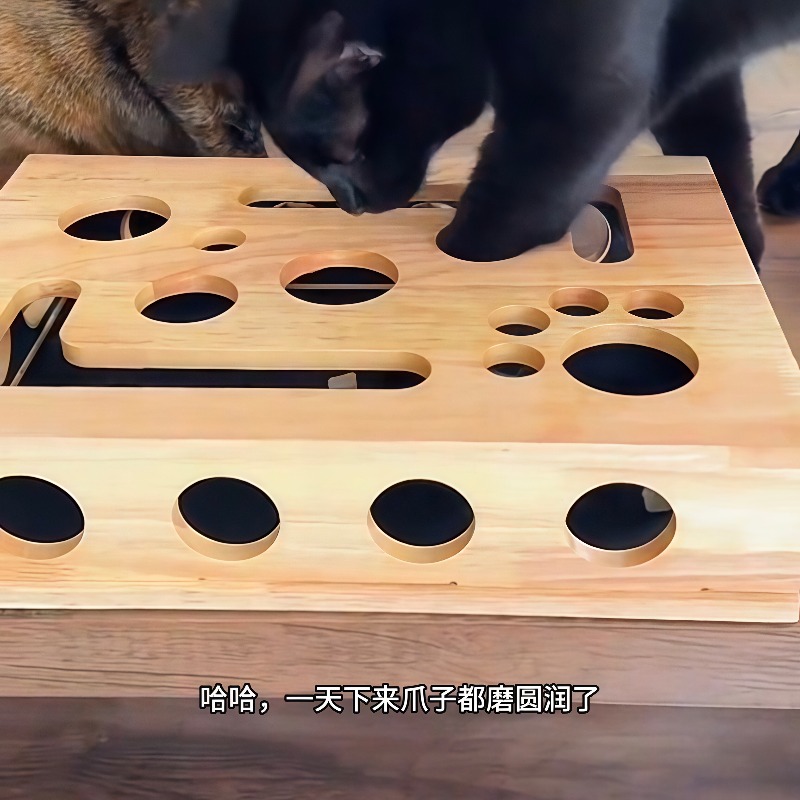 Royi Store Claw Labyrinth Cat  - Board Game Store 评论和价格